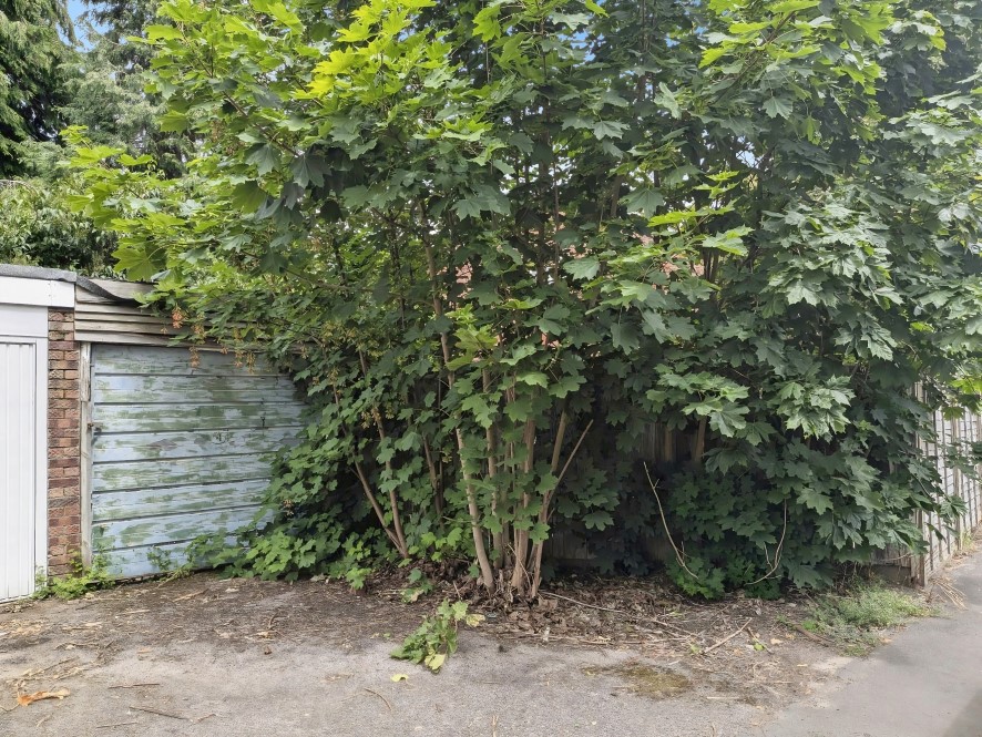 Lot Image