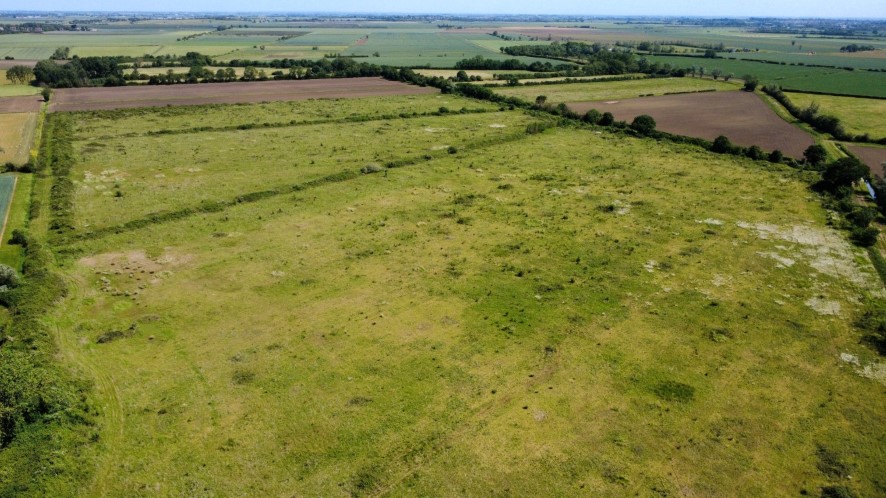 Lot Image