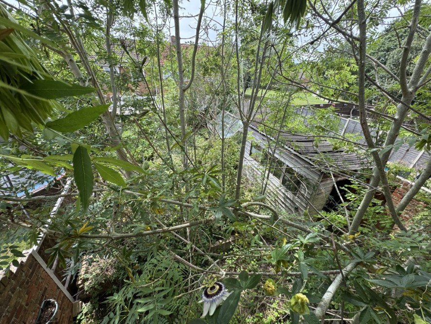 Lot Image