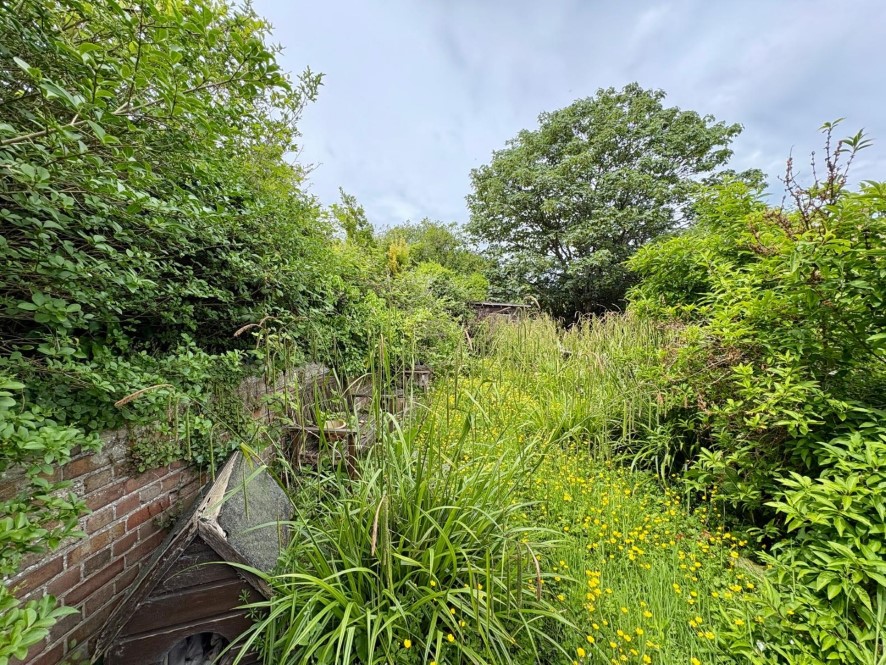 Lot Image