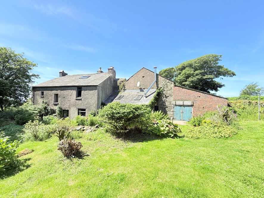 Lot Image