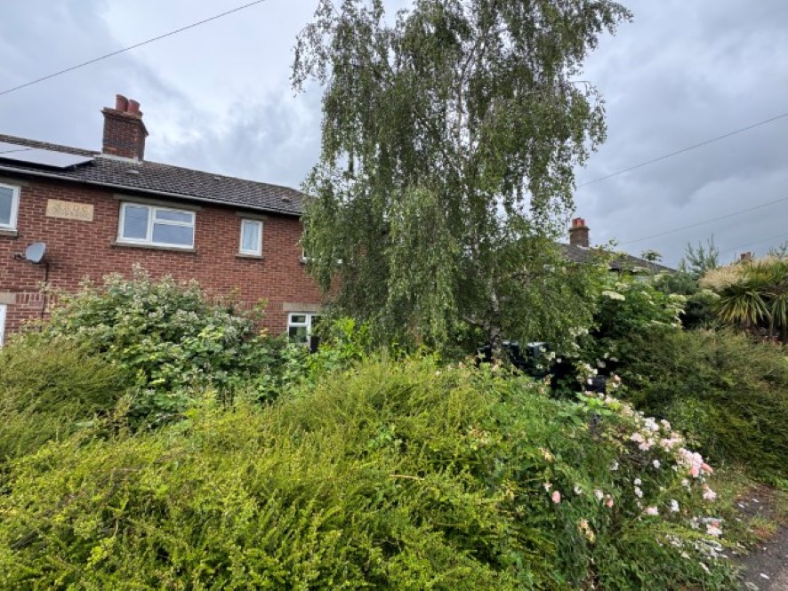 Lot Image