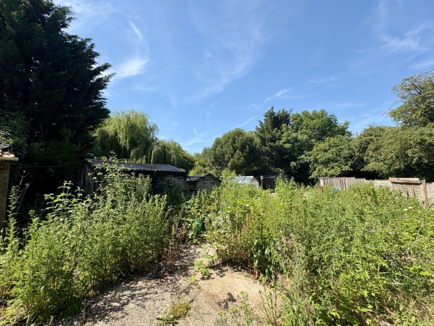 Lot Image