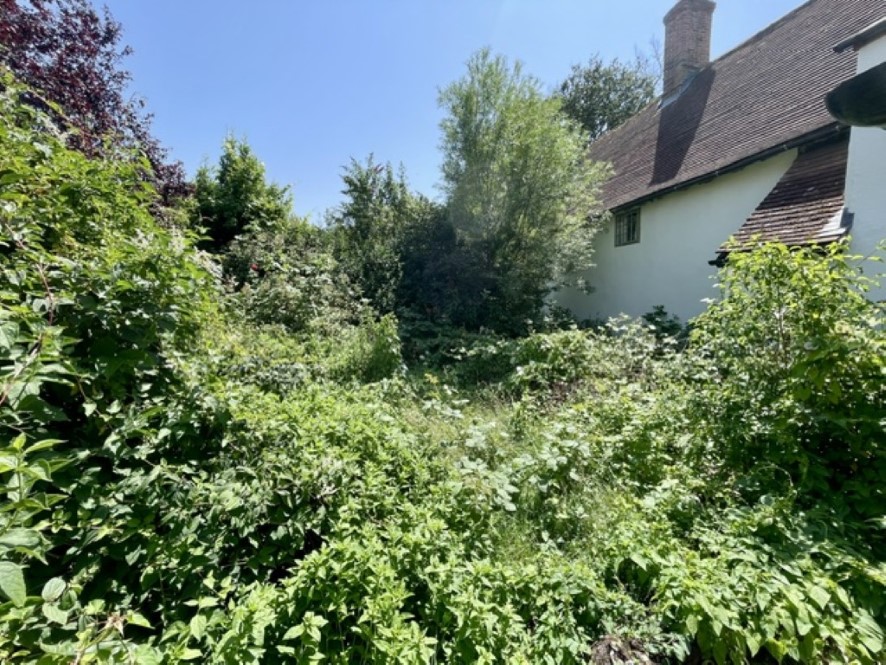 Lot Image