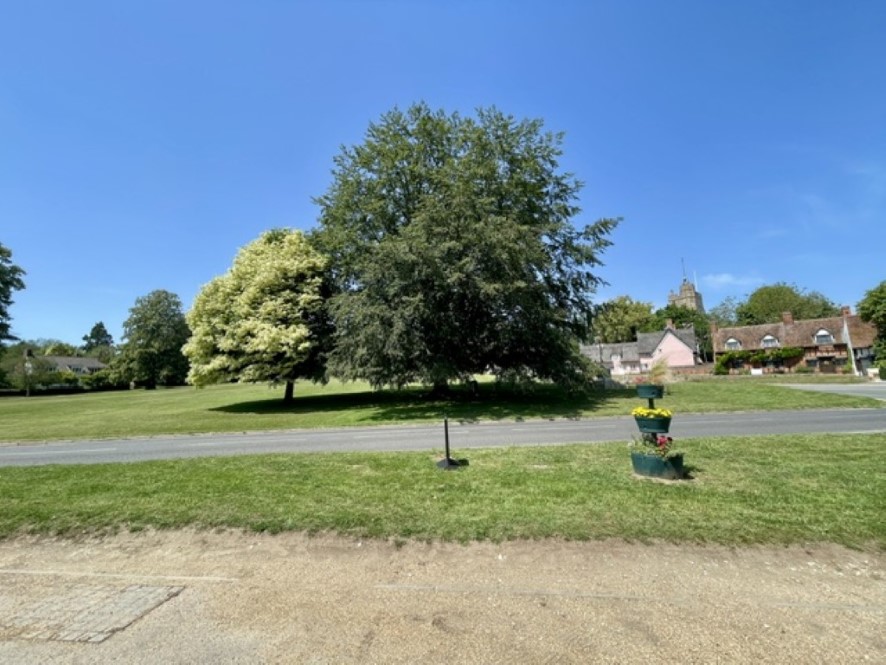 Lot Image