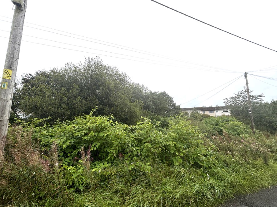 Lot Image