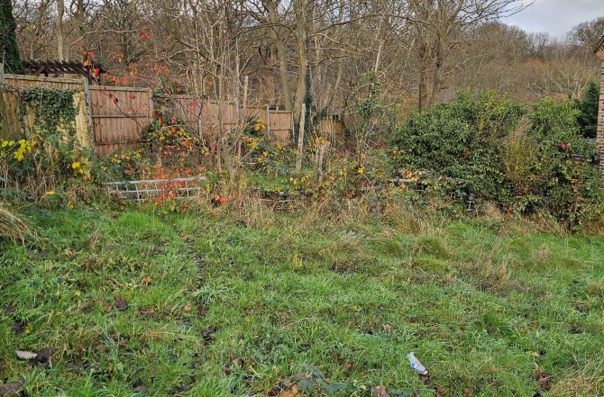 Lot Image
