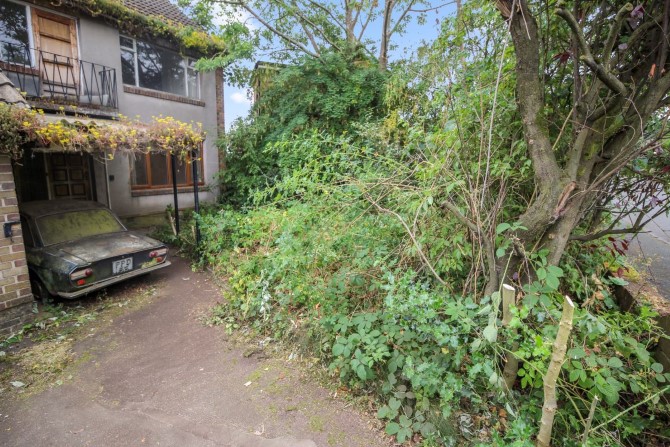 Lot Image