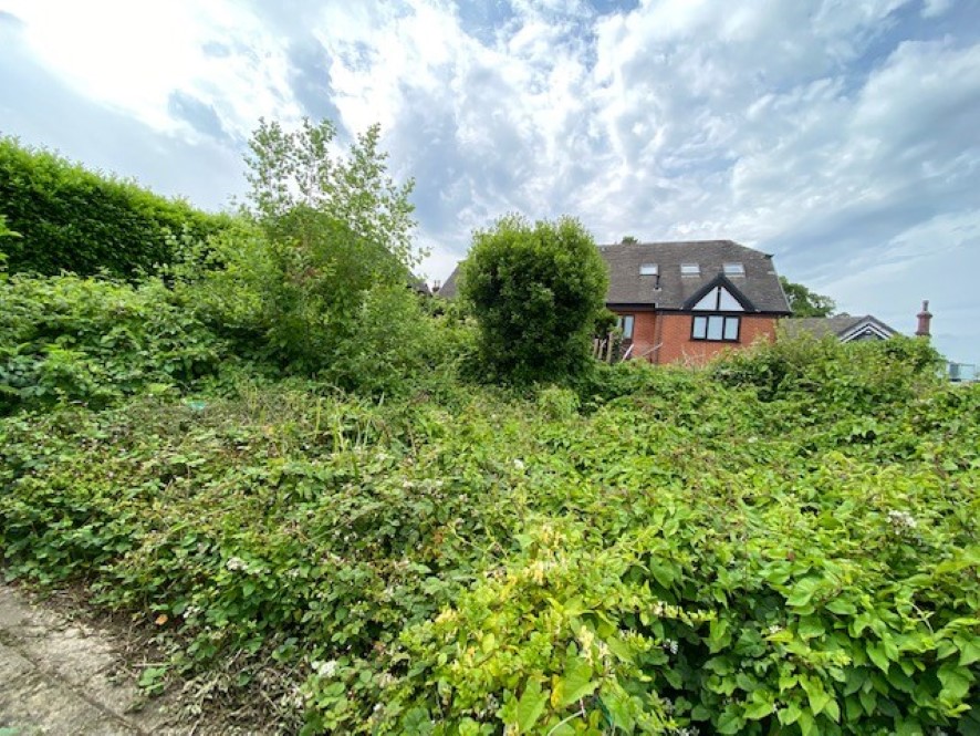 Lot Image
