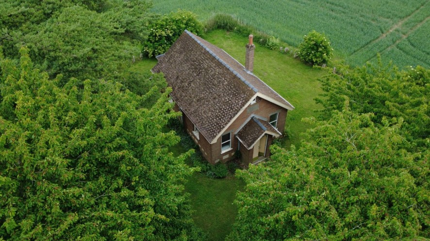 Lot Image