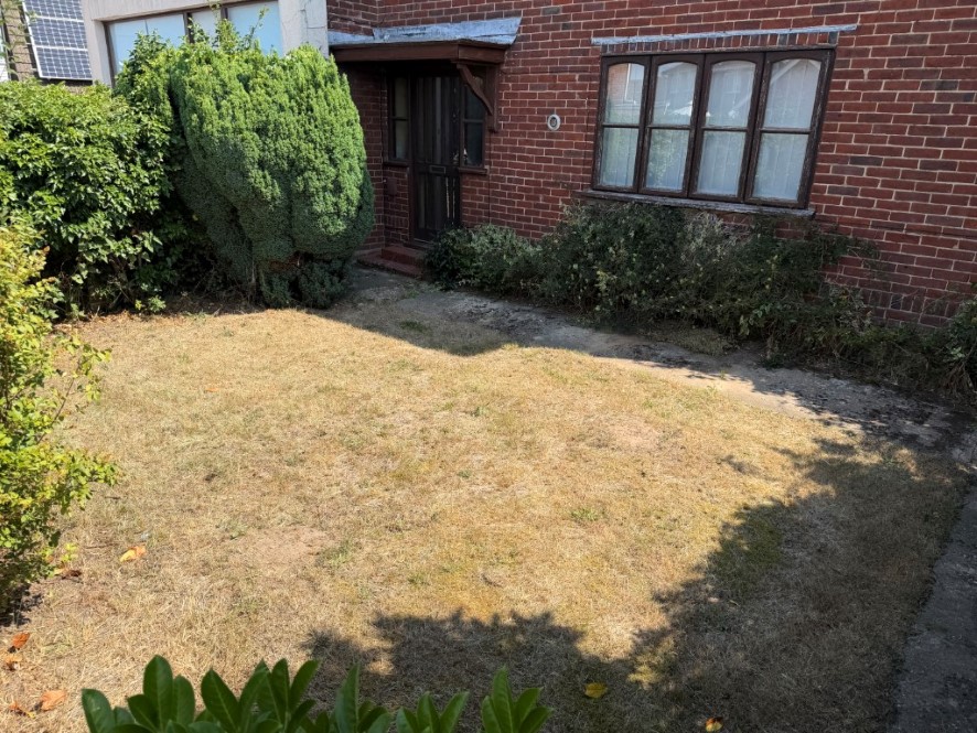 Lot Image