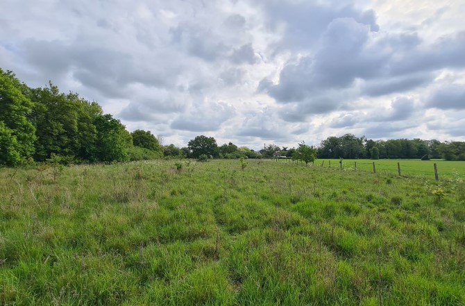 Lot Image