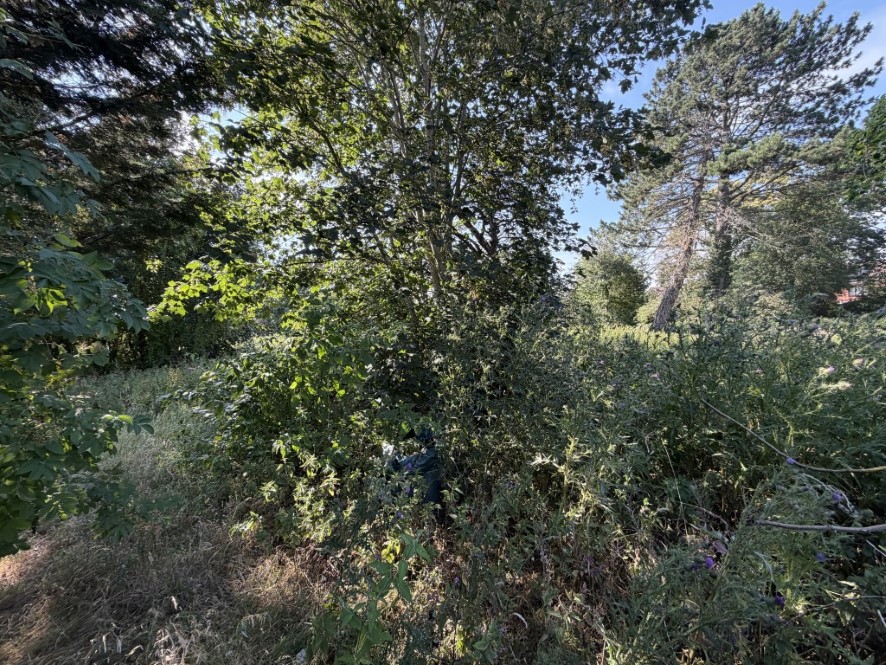 Lot Image