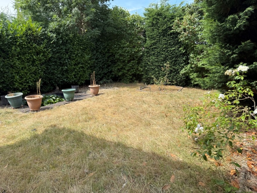 Lot Image