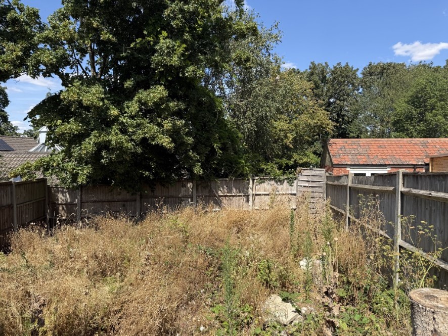 Lot Image