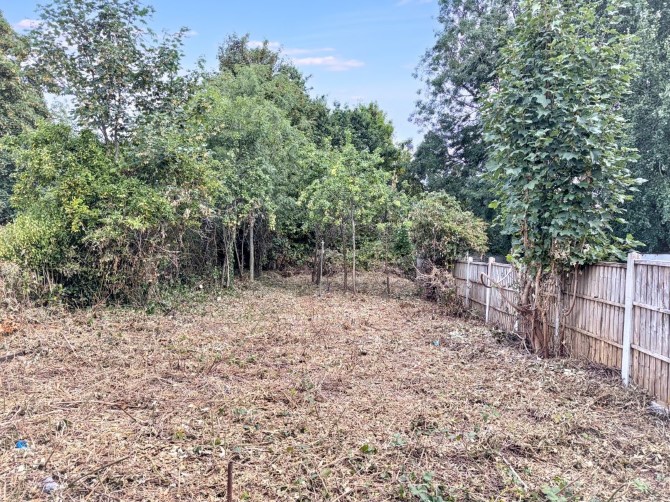 Lot Image