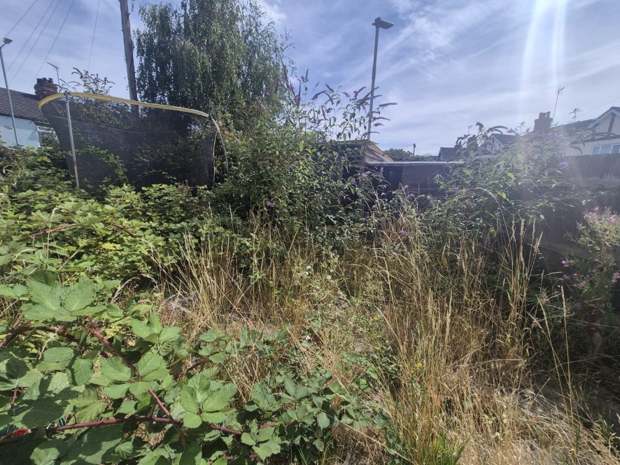 Lot Image