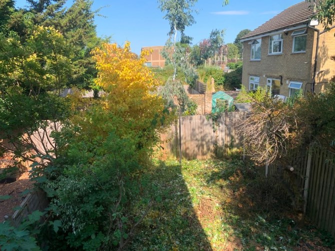 Lot Image