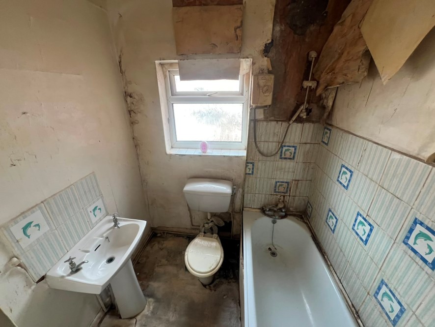 Lot Image