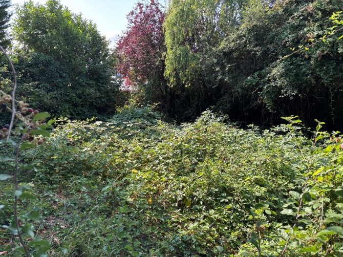 Lot Image