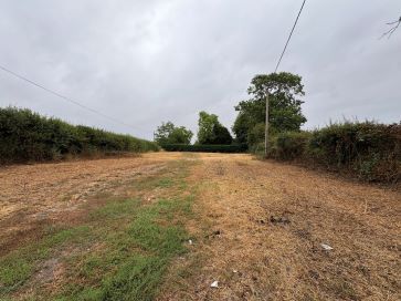 Property for Auction in East Anglia - Land adjacent to Walnut Tree House, Main Road, North Tuddenham, Dereham, Norfolk NR20 3HE