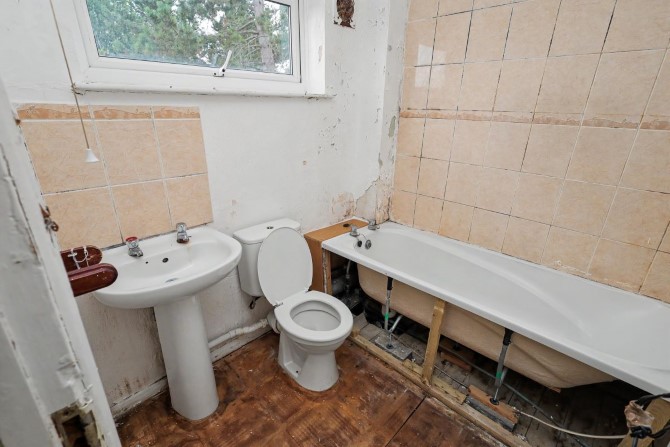 Lot Image