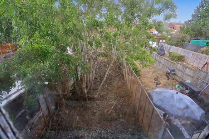Lot Image