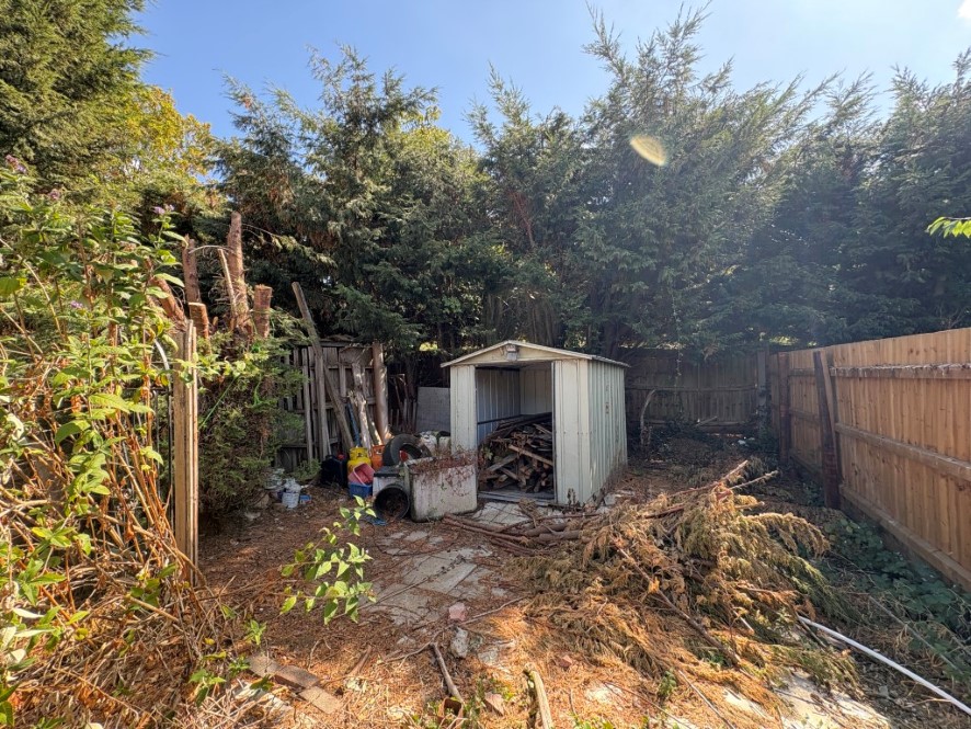 Lot Image