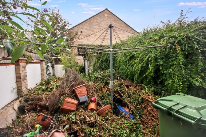 Lot Image