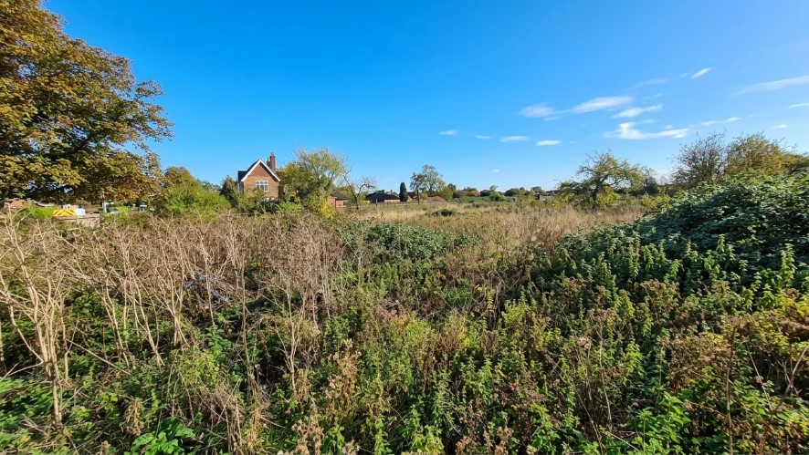 Lot Image