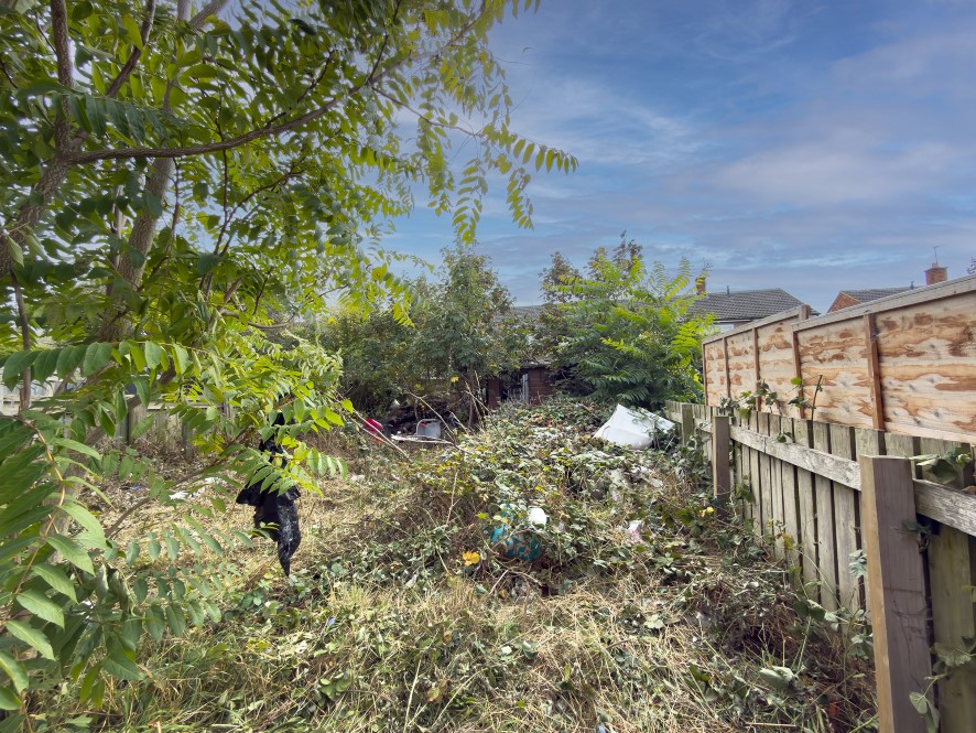Lot Image