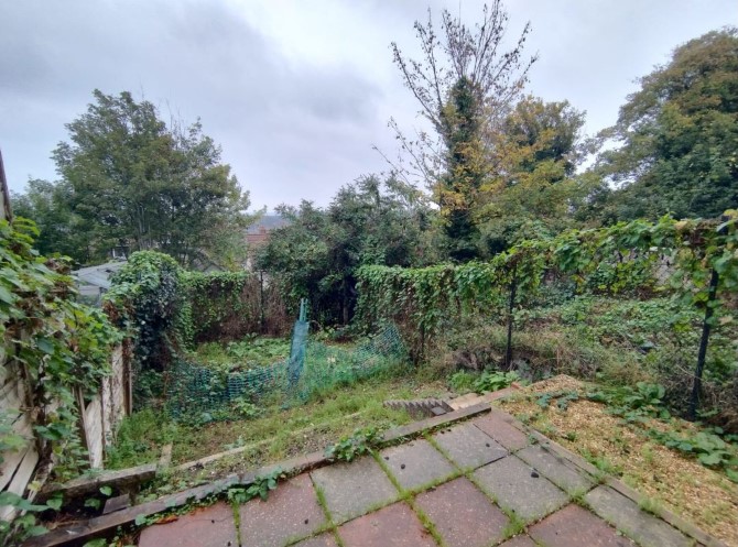 Lot Image