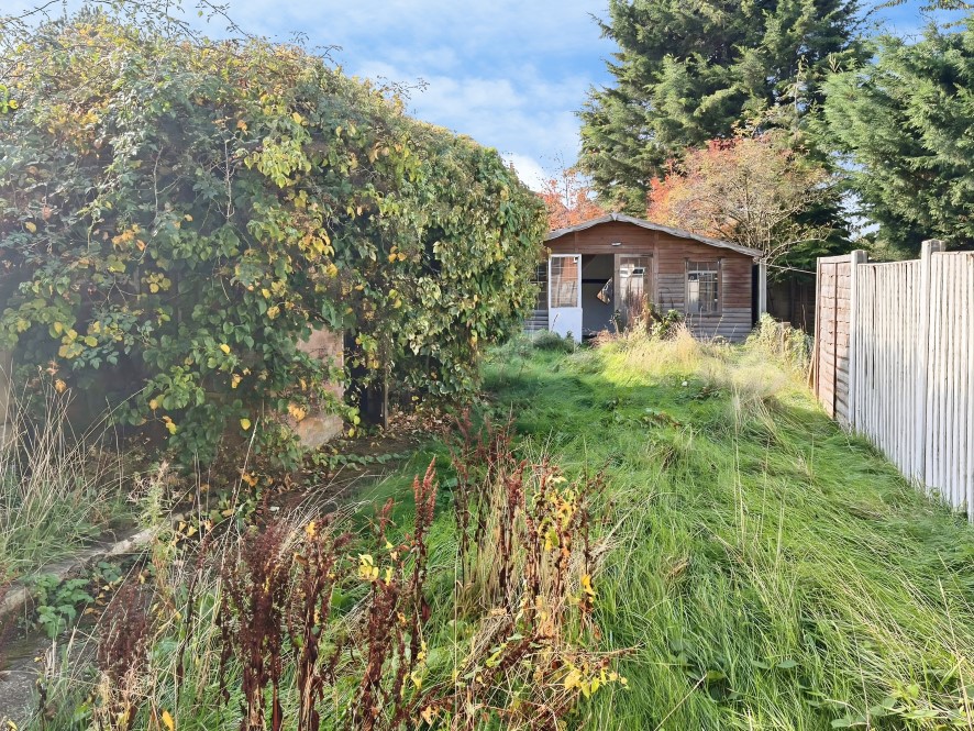 Lot Image