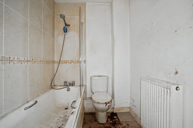 Lot Image