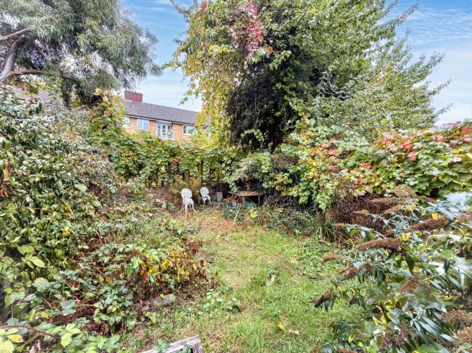Lot Image