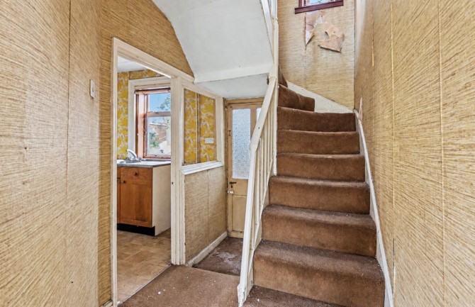Lot Image