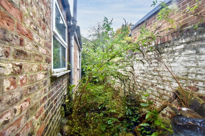 Lot Image
