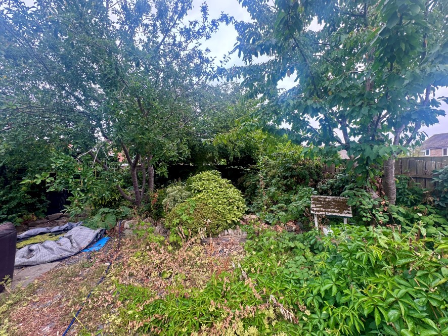 Lot Image